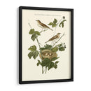 Nozeman Blackberry Blackberry - Nozeman | Cuadro decorativo de Canvas Lab