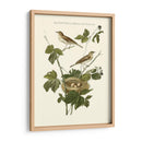 Nozeman Blackberry Blackberry - Nozeman | Cuadro decorativo de Canvas Lab