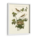 Nozeman Blackberry Blackberry - Nozeman | Cuadro decorativo de Canvas Lab