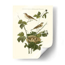 Nozeman Blackberry Blackberry - Nozeman | Cuadro decorativo de Canvas Lab