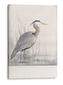 Mantenimiento No Adornado. - Tim OToole | Cuadro decorativo de Canvas Lab