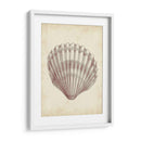 Estudio De Cáscara Antiguo Personalizado Iii (Ceniza) - Ethan Harper | Cuadro decorativo de Canvas Lab