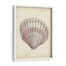 Estudio De Cáscara Antiguo Personalizado Iii (Ceniza) - Ethan Harper | Cuadro decorativo de Canvas Lab