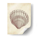 Estudio De Cáscara Antiguo Personalizado Iii (Ceniza) - Ethan Harper | Cuadro decorativo de Canvas Lab