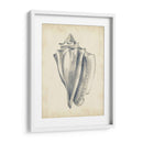 Estudio De Cáscara Antiguo Personalizado Iv (Ash) - Ethan Harper | Cuadro decorativo de Canvas Lab