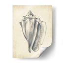 Estudio De Cáscara Antiguo Personalizado Iv (Ash) - Ethan Harper | Cuadro decorativo de Canvas Lab