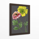 30X18 Variedades Del Jardín De Medianoche I (Ash) - Vision Studio | Cuadro decorativo de Canvas Lab