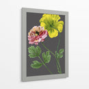 30X18 Variedades Del Jardín De Medianoche I (Ash) - Vision Studio | Cuadro decorativo de Canvas Lab