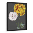 30X18 Variedades De Jardín De Medianoche Iii (Ceniza) - Vision Studio | Cuadro decorativo de Canvas Lab