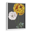 30X18 Variedades De Jardín De Medianoche Iii (Ceniza) - Vision Studio | Cuadro decorativo de Canvas Lab