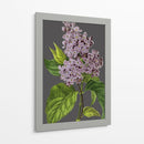 30X18 Variedades De Jardín De Medianoche V (Ash) - Vision Studio | Cuadro decorativo de Canvas Lab
