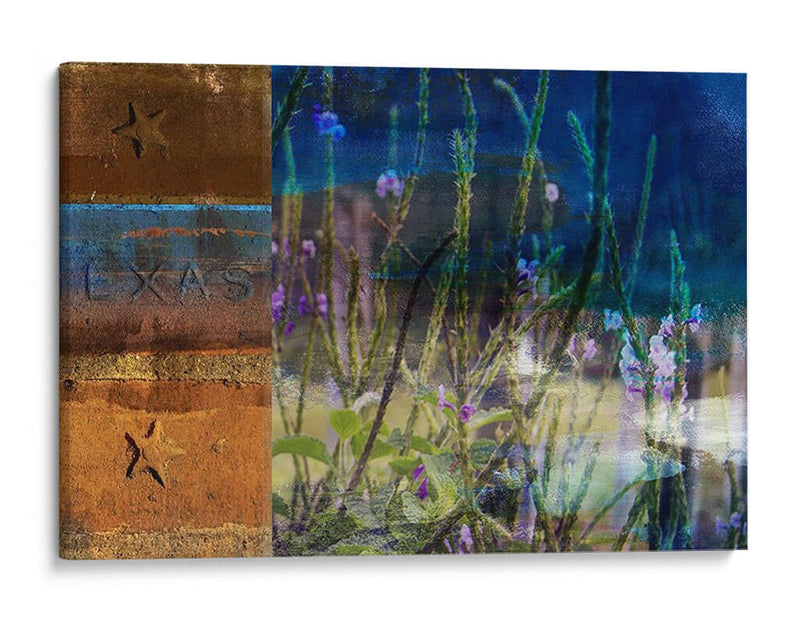 36X60 Texas Texas Wildflowers (Ceniza) - Sisa Jasper | Cuadro decorativo de Canvas Lab