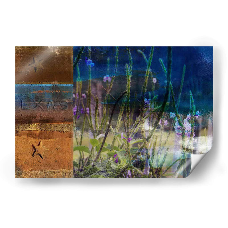 36X60 Texas Texas Wildflowers (Ceniza) - Sisa Jasper | Cuadro decorativo de Canvas Lab