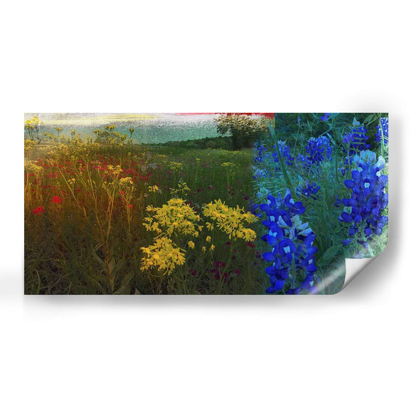 36X72 Panorama De Flores Silvestres (Ceniza) - Sisa Jasper | Cuadro decorativo de Canvas Lab