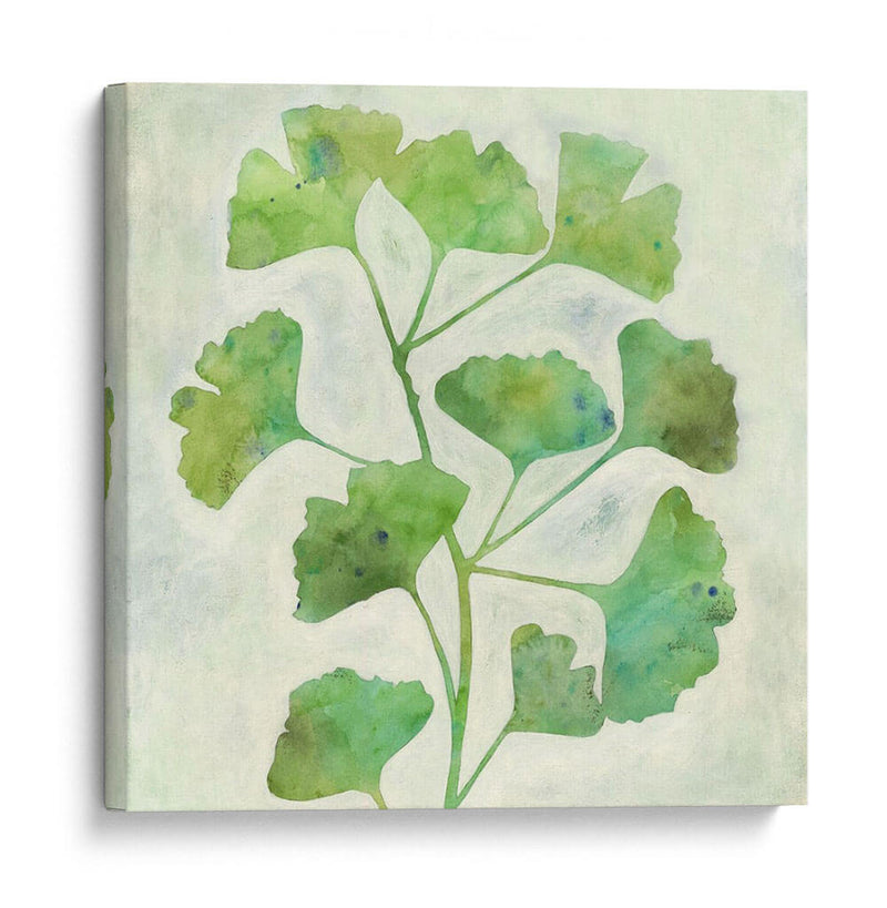 Ginkgo Green Ii - Megan Meagher | Cuadro decorativo de Canvas Lab