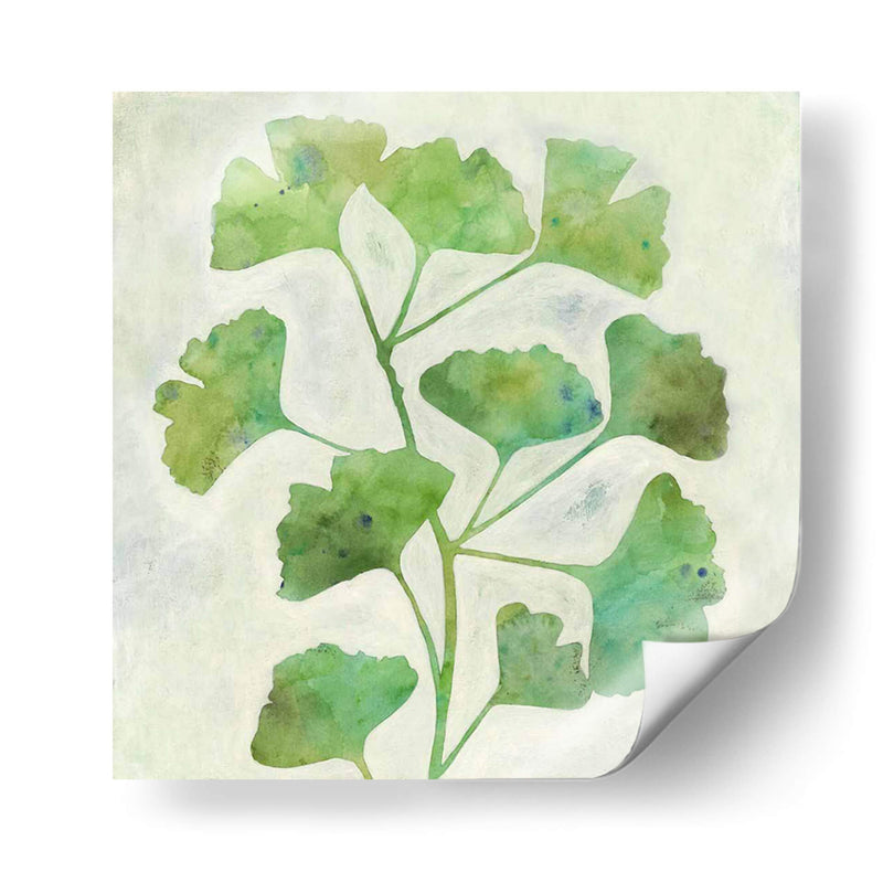 Ginkgo Green Ii - Megan Meagher | Cuadro decorativo de Canvas Lab