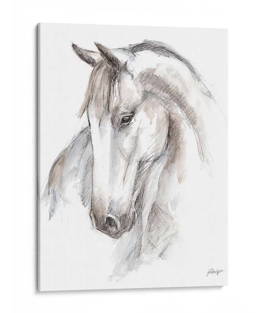 Estudio Equino Acuarela Ii - Ethan Harper | Cuadro decorativo de Canvas Lab