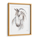 Estudio Equino Acuarela Ii - Ethan Harper | Cuadro decorativo de Canvas Lab