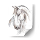 Estudio Equino Acuarela Ii - Ethan Harper | Cuadro decorativo de Canvas Lab