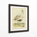 Antiguo Spoonbill Y Sandpipers - Alexander Wilson | Cuadro decorativo de Canvas Lab