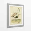 Antiguo Spoonbill Y Sandpipers - Alexander Wilson | Cuadro decorativo de Canvas Lab