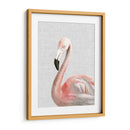 Flamingo De Acuarela Personalizada (Ceniza) - Naomi McCavitt | Cuadro decorativo de Canvas Lab
