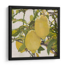 Cítrico Brillante Iii (Ceniza) - Naomi McCavitt | Cuadro decorativo de Canvas Lab