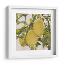 Cítrico Brillante Iii (Ceniza) - Naomi McCavitt | Cuadro decorativo de Canvas Lab