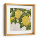 Cítricos Brillantes Iv (Ceniza) - Naomi McCavitt | Cuadro decorativo de Canvas Lab