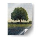 60X48 Temprano En La Mañana Vista (Ash) - Tim OToole | Cuadro decorativo de Canvas Lab