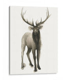 Majestic Majestic Ii (Ash) - Grace Popp | Cuadro decorativo de Canvas Lab