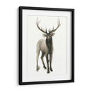 Majestic Majestic Ii (Ash) - Grace Popp | Cuadro decorativo de Canvas Lab