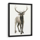 Majestic Majestic Ii (Ash) - Grace Popp | Cuadro decorativo de Canvas Lab