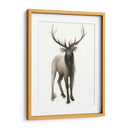 Majestic Majestic Ii (Ash) - Grace Popp | Cuadro decorativo de Canvas Lab