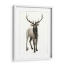 Majestic Majestic Ii (Ash) - Grace Popp | Cuadro decorativo de Canvas Lab