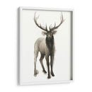Majestic Majestic Ii (Ash) - Grace Popp | Cuadro decorativo de Canvas Lab