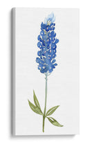 Bonnets Azul I (Ash) - Grace Popp | Cuadro decorativo de Canvas Lab