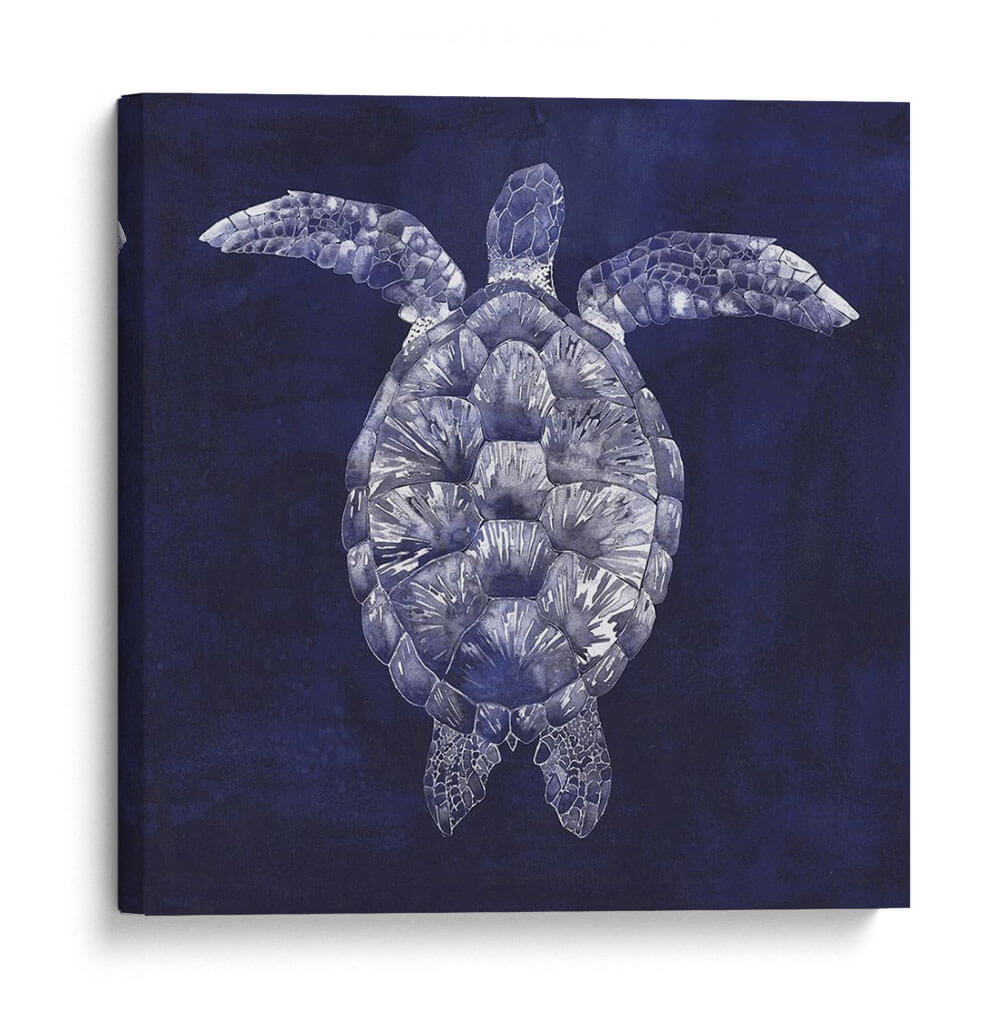 Tortuga De Mar Personalizada Sombra I (Ash) - Grace Popp | Cuadro decorativo de Canvas Lab