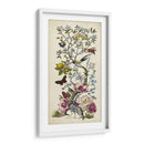 Chinoiserie Custom Natura Ii (Ash) - Naomi McCavitt | Cuadro decorativo de Canvas Lab