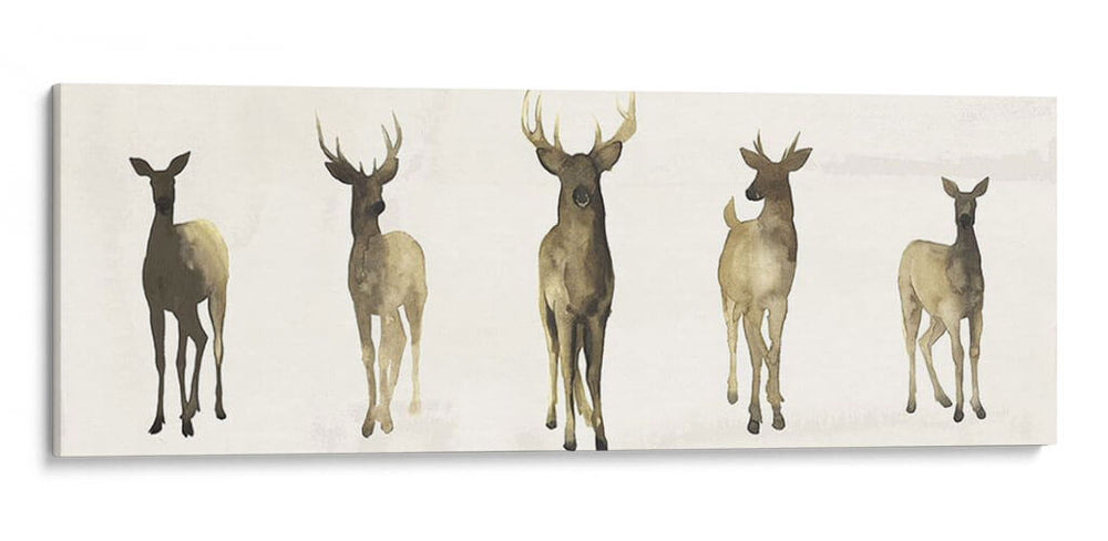 Herd Deer I I - Grace Popp | Cuadro decorativo de Canvas Lab