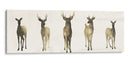 Herd Deer I I - Grace Popp | Cuadro decorativo de Canvas Lab