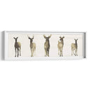 Herd Deer I I - Grace Popp | Cuadro decorativo de Canvas Lab