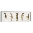 Herd Deer I I - Grace Popp | Cuadro decorativo de Canvas Lab