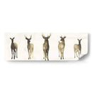 Herd Deer I I - Grace Popp | Cuadro decorativo de Canvas Lab