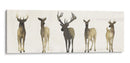 Deer Herd Ii - Grace Popp | Cuadro decorativo de Canvas Lab