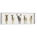 Deer Herd Ii - Grace Popp | Cuadro decorativo de Canvas Lab