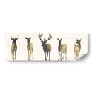 Deer Herd Ii - Grace Popp | Cuadro decorativo de Canvas Lab