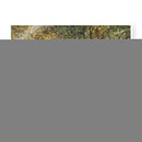 Luz De Oro Personalizada I (Ceniza) - Graham Reynolds | Cuadro decorativo de Canvas Lab