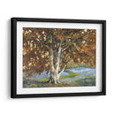 Luz De Oro Personalizada Ii (Ash) - Graham Reynolds | Cuadro decorativo de Canvas Lab