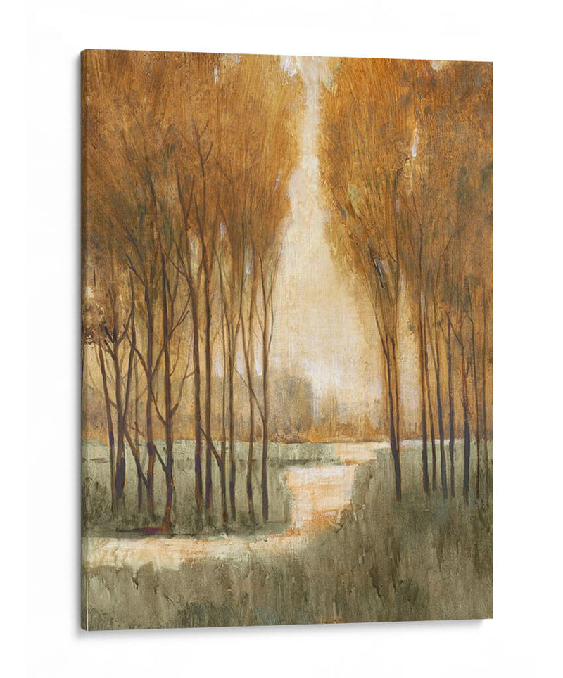 Bosque De Oro Personalizado I (Ceniza) - Tim OToole | Cuadro decorativo de Canvas Lab